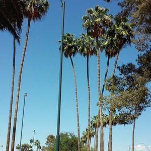 Meet your Posher, Pilar